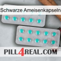 Black Ant Capsules 29